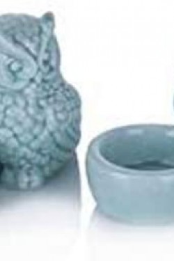 4lü Yeşil Baykuşlu Mumluk, 11cm