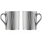 Forest 2'li Mug Bardak Platin 10925, 260 ml