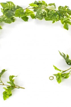 BZEFL44380 Guirlande Plante Artificielle Philo 180 cm