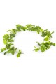 BZEFL44380 Guirlande Plante Artificielle Philo 180 cm BZEFL44380 Guirlande Plante Artificielle Philo 180 cm