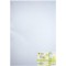 Lino Eva 50 x 70 cm Beyaz 2 mm Simli