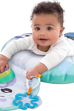 Playgro Polar Pals Aktivite Yastığı