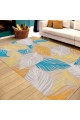 RFE6003050 Renkli Paspas, 50x80 cm