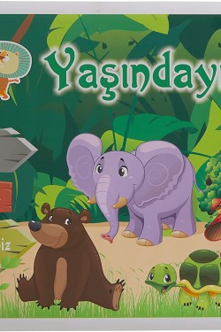 Doğum Günü Hediye Parti Pankart