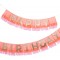 211528 Ornement à Suspendre Joyeux Anniversaire avec Pompon Rose, Multicolore