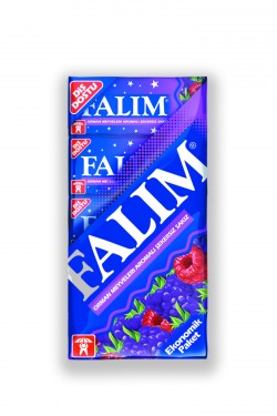 Falım 5li Sakız Orman Meyveleri x 20 Adet
