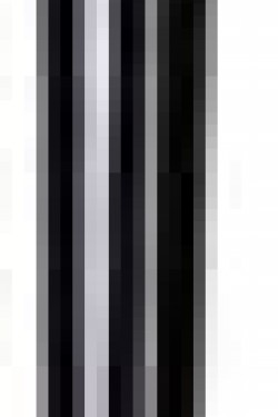 Pro Açılı Eyeliner Fırçası -265