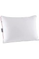 Oreiller en duvet d'oie Thermoy 5 0x70 Oreiller en duvet d'oie Thermoy 5 0x70