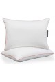Oreiller THERMOLITE EASY CARE 5 0x70, Blanc