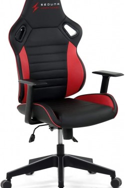 Seduna Champion Gaming-Stuhl | Arbeitsstuhl