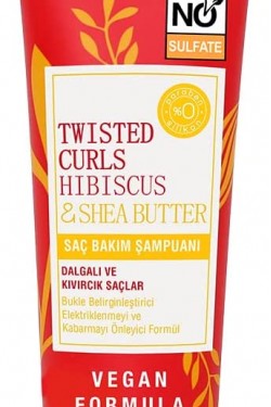 Care Hibiscus & Shea Butter Saç Bakım Şampuanı 1 Paket (1 x 250 ml)