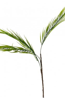 Branche De Palmier 68 Cm
