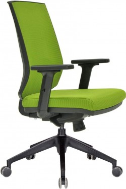 Chaise de chef lombaire Tiffany, plastique - vert