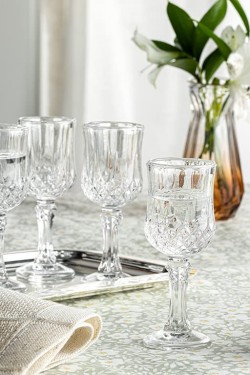 Rich Roe Glass 6 Pcs Water Glass 50 ml Transparent