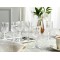 Rich Roe Glass 6 Pcs Water Glass 50 ml Transparent