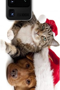 Galaxy S20 Ultra Hülle (SM-G988B) Bedruckte Silikonkatze und Hund STK:167
