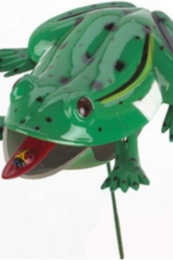 Garden Ornament Frog Shaped Stud Model