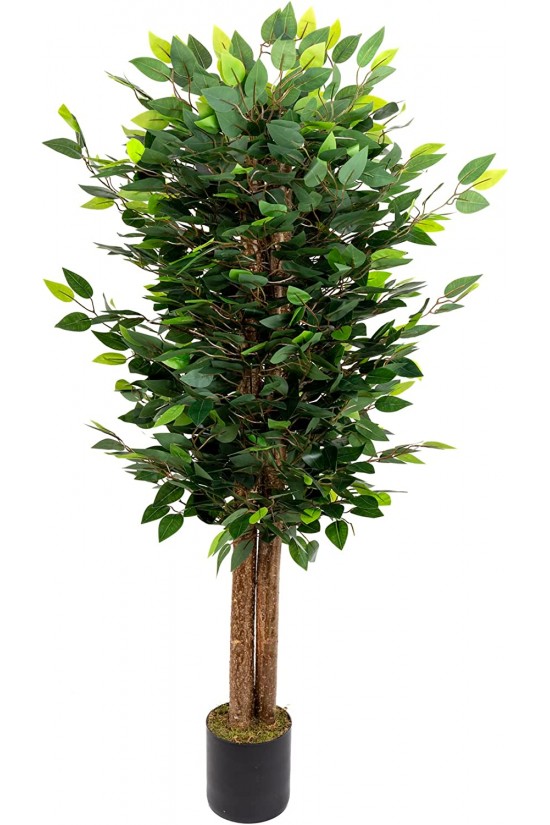 Benjamin artificiel de 150 cm avec des feuilles denses dans un pot noir Benjamin artificiel de 150 cm avec des feuilles denses dans un pot noir