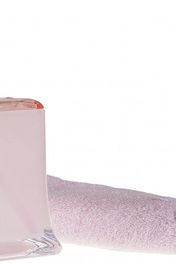 Diş Fırçalık Buz Pembe Akrilik Model