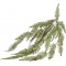 BZEFL45 Lierre Vert Artificiel 115 cm