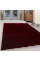 Moderner, weicher, staubdichter, langlebiger roter Wohnzimmer-Sn-Teppich, 80 x 150 cm