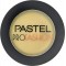 Pastell Profashion Terracotta Wet & Dry Powder 52