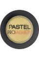 Pastel Profashion Terracotta Wet & Dry Powder 52