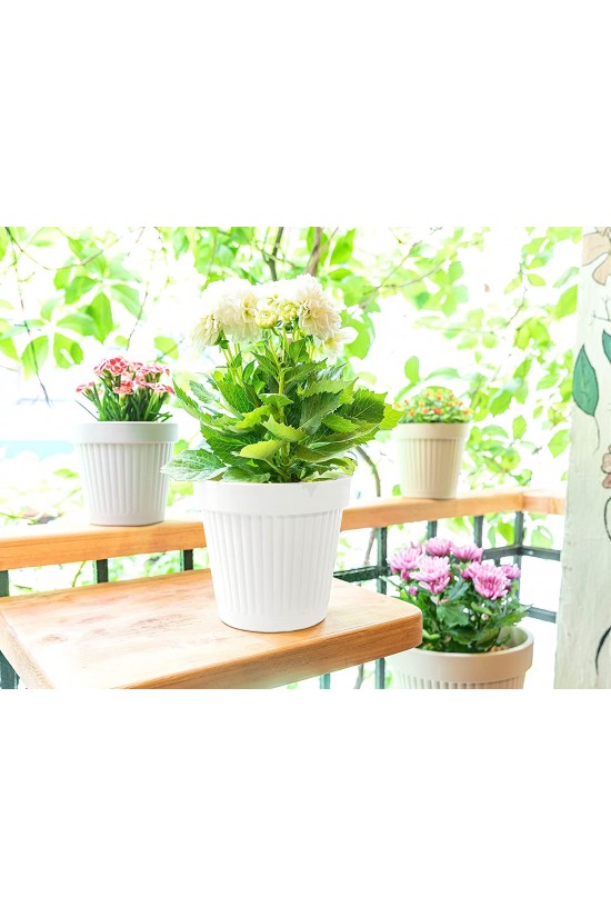 Jolie Saksı 2300 ml