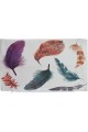 DIK198 Rechteckiger dekorativer Kissenbezug für Kissen und Dekokissen mit Vogelfeder-Illustration, 35 x 55 cm DIK198 Rechteckiger dekorativer Kissenbezug für Kissen und Dekokissen mit Vogelfeder-Illustration, 35 x 55 cm