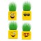 Çimoji 4 Figürlü Emoji Küp Çim Adam