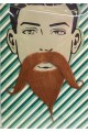 Brown Philosopher False Beard and Mustache Set-756 Brown Philosopher False Beard and Mustache Set-756